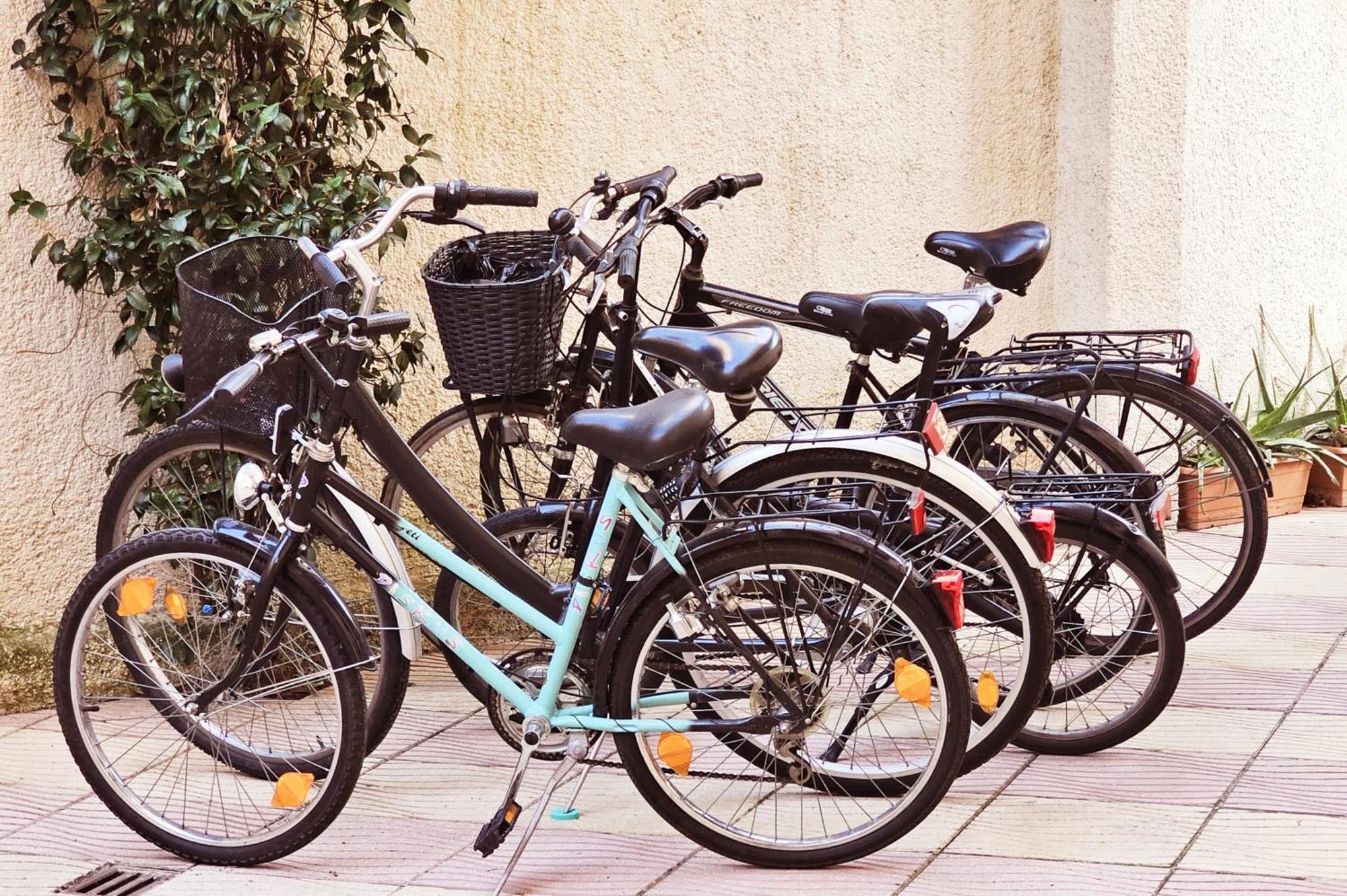 Seasons - Free Parking & Center Apartament *